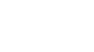 Hidden Wish Logo